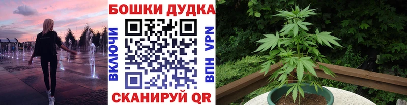 Как найти наркотики Озёрск СК  Меф мяу мяу  АМФЕТАМИН  МЕТАМФЕТАМИН  Гашиш  Канабис 