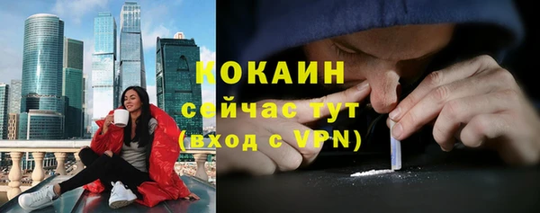 PSILOCYBIN Нязепетровск