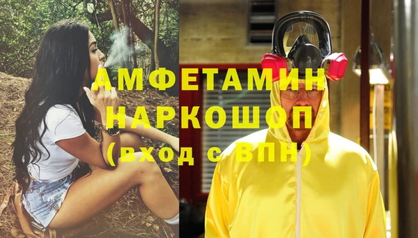 хмурый Няндома