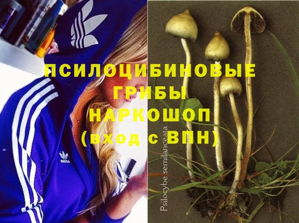 mdpv Гусь-Хрустальный