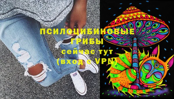 mdpv Гусь-Хрустальный