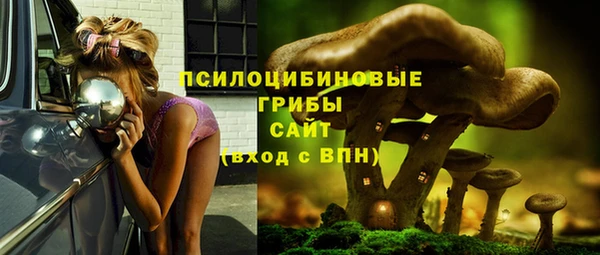 mdpv Гусь-Хрустальный