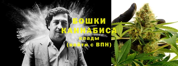 COCAINE Гусиноозёрск